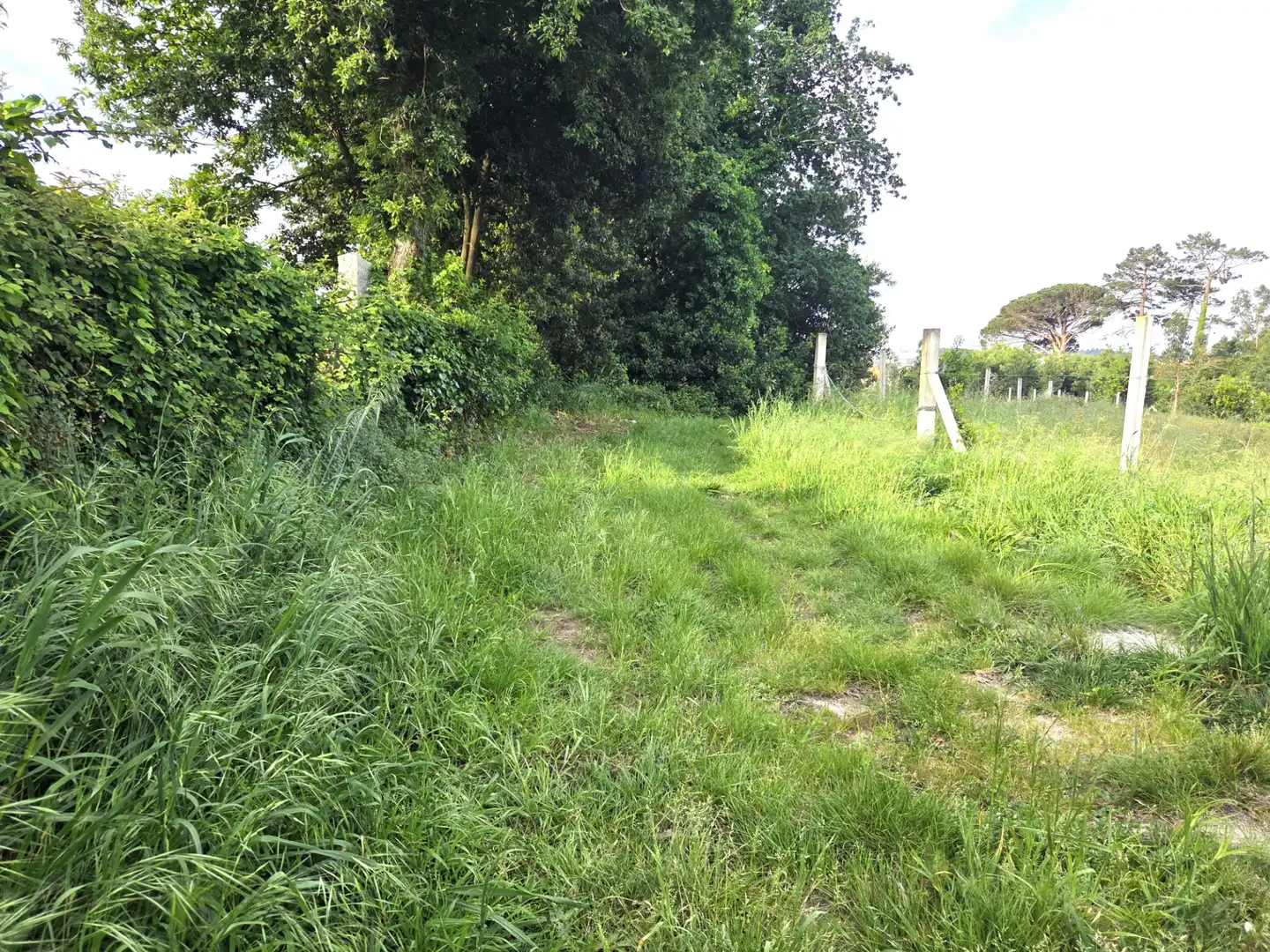 Residencial en venta en Sanxenxo