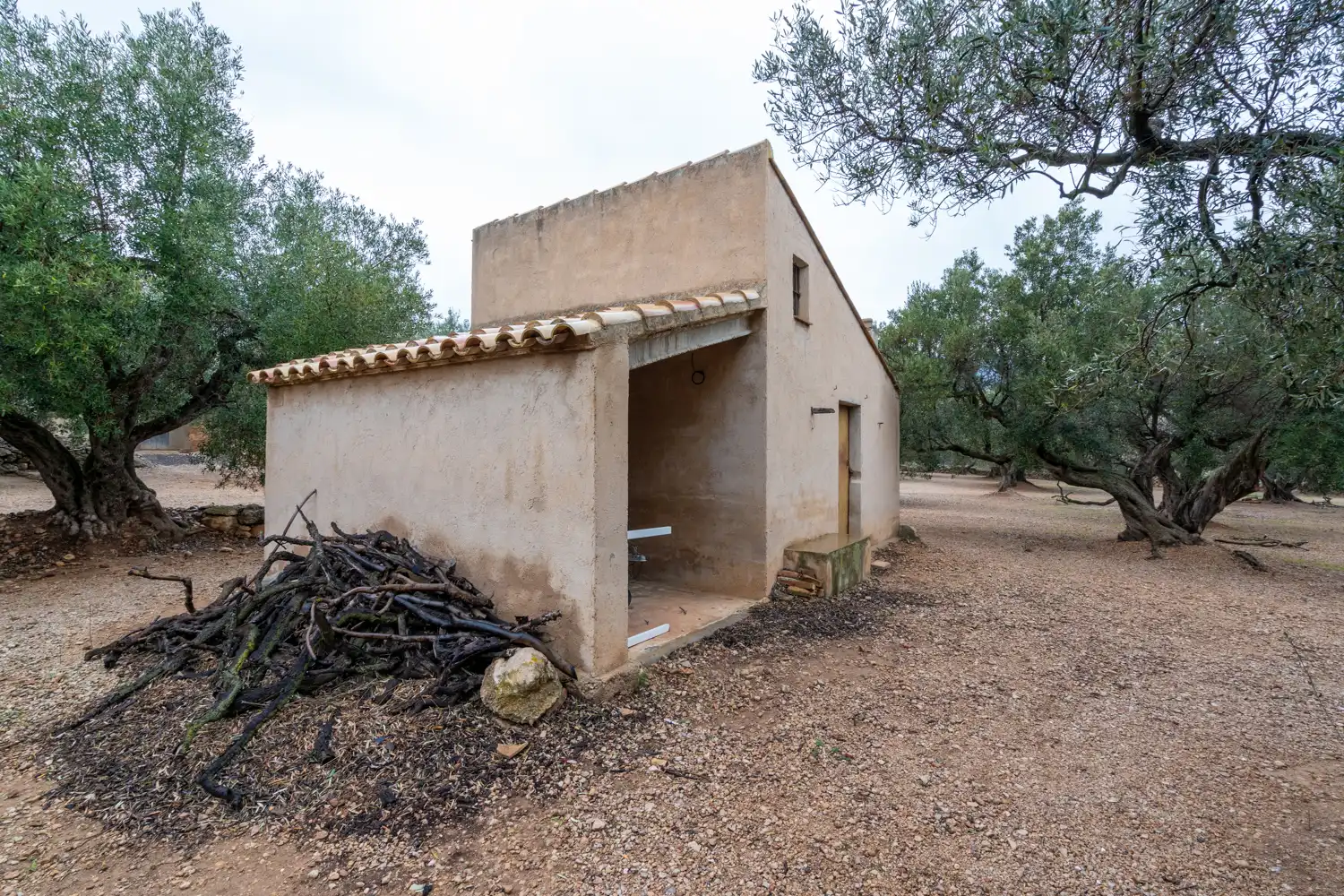 Terreno rustico in vendita a Cami de Pandorga 1, imagen 3