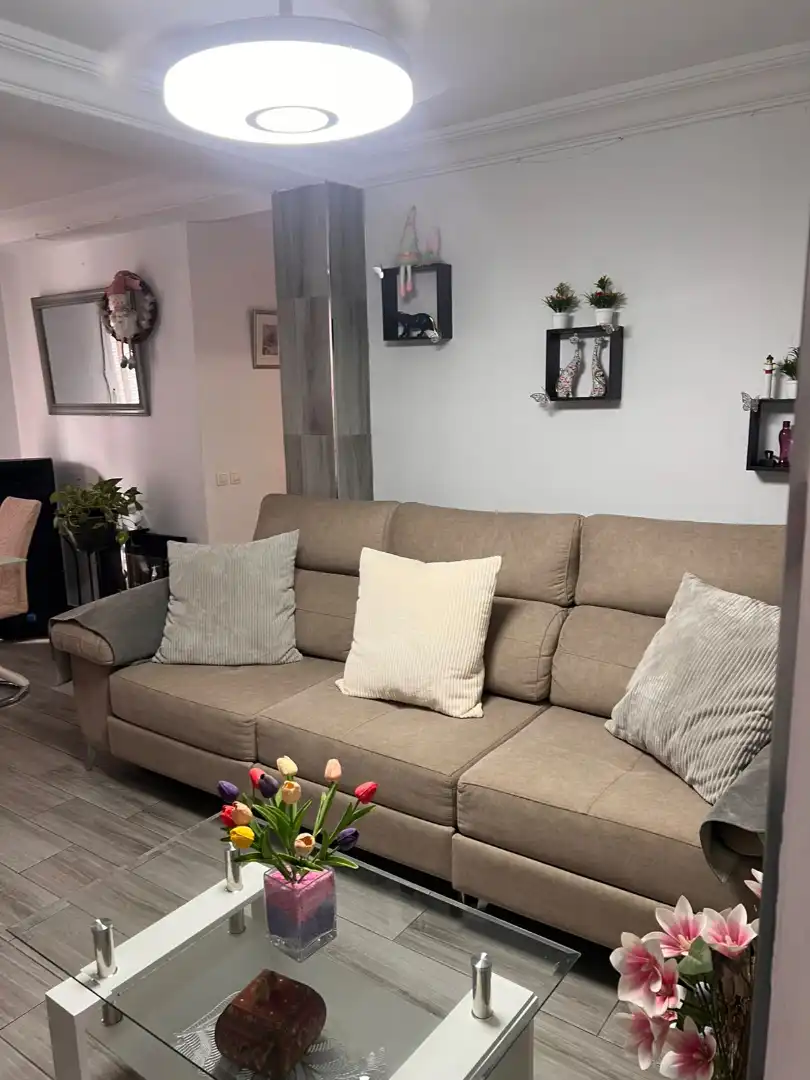 Appartamento con terrazza in vendita a Calle Pilar de la Dehesa 14, imagen 5