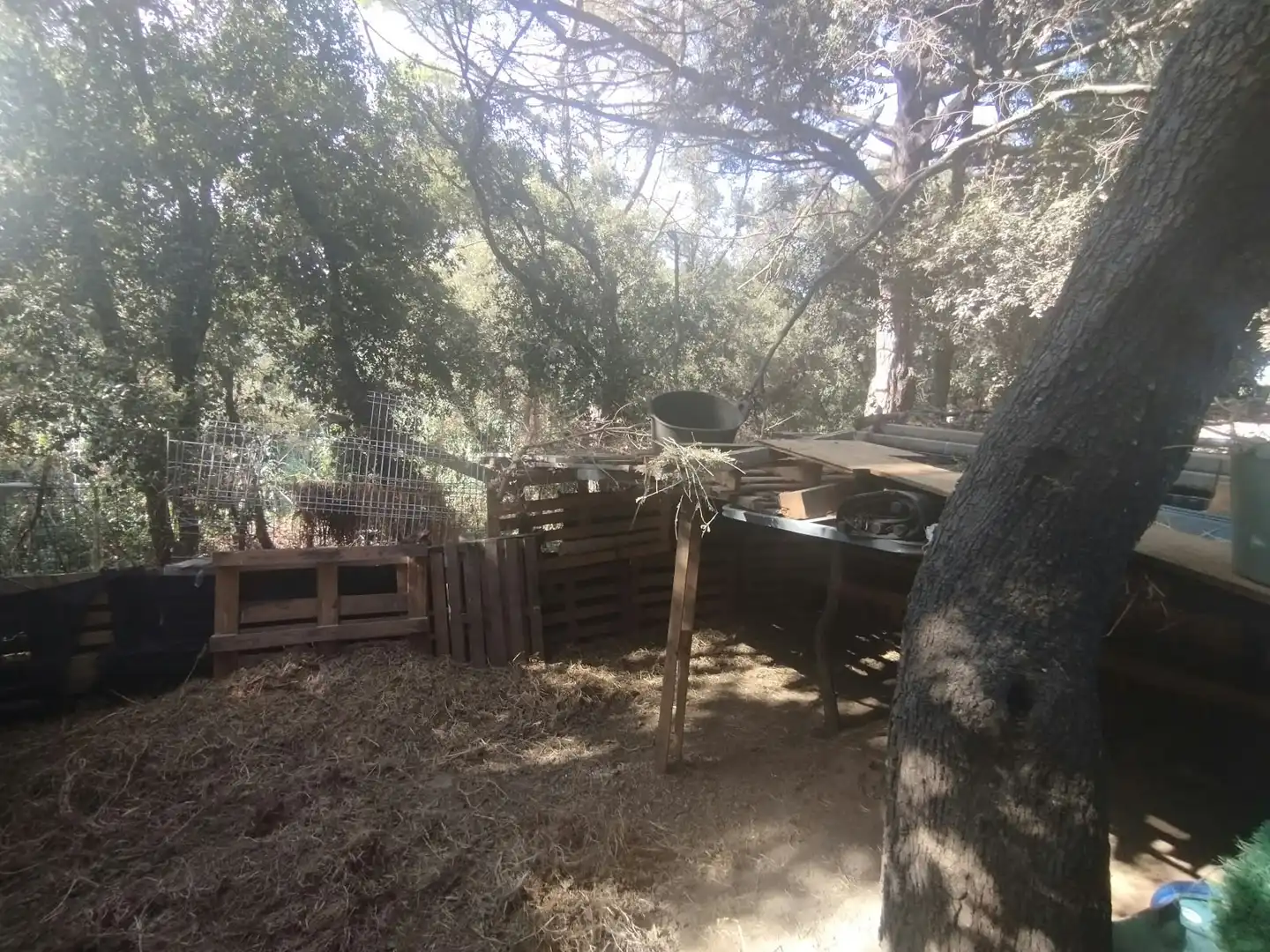 Finca rústica en venda a La Punxa
