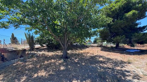 Foto 2 de Casa o xalet en venda a Parque Atlántico - Ronda este, Jerez de la Frontera