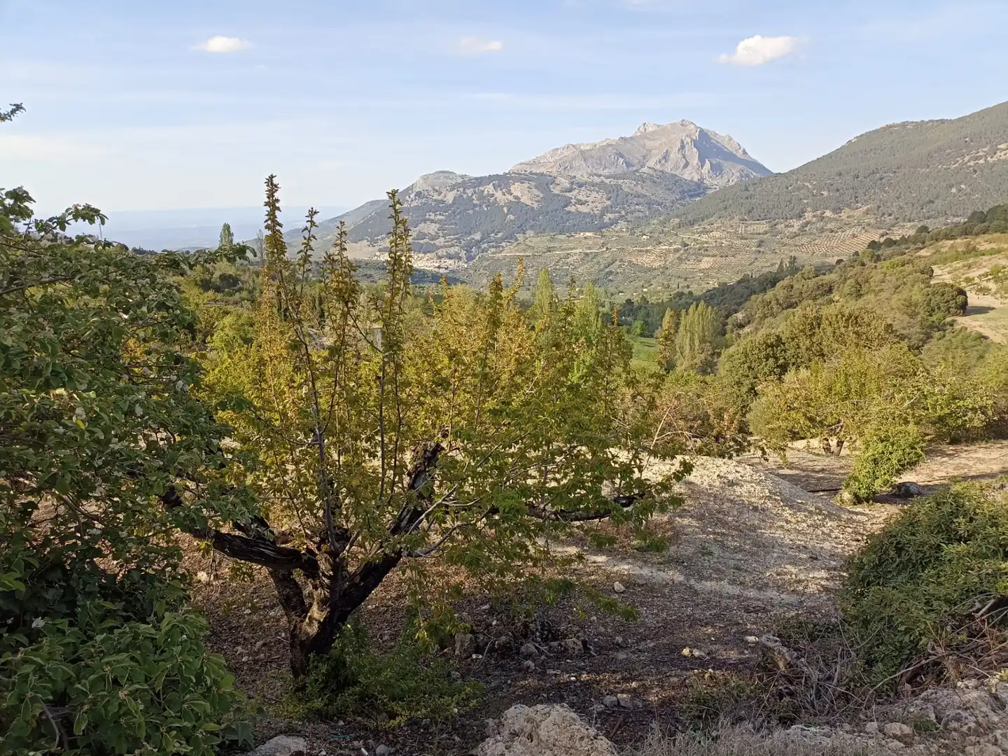 Exterior view of Land for sale in Torres