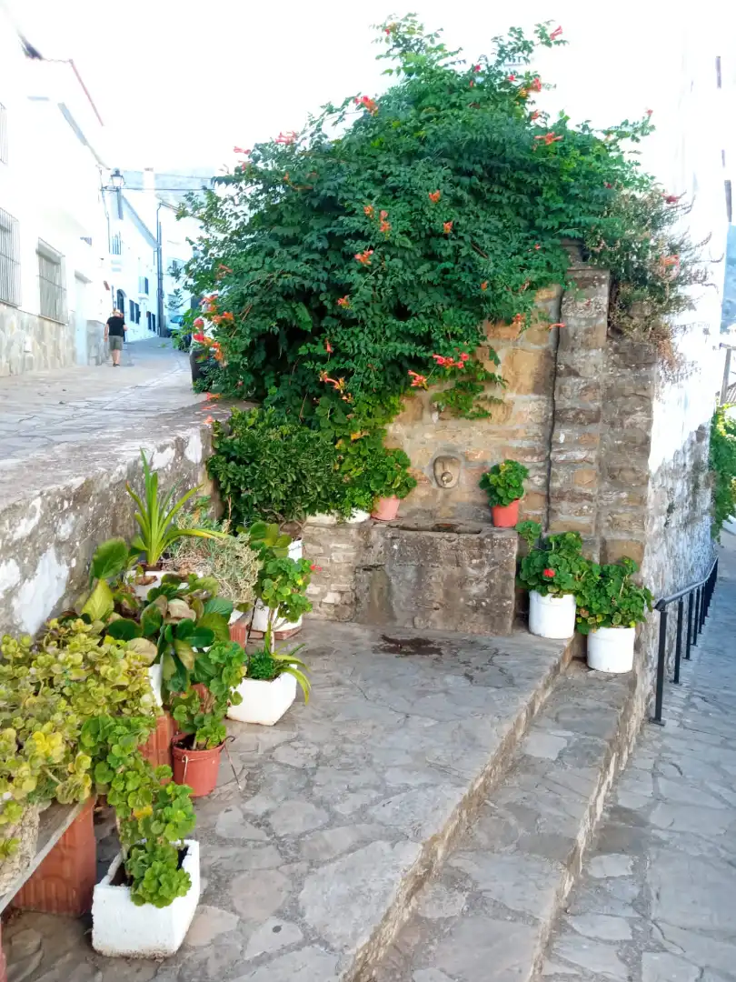 Jardín de Dúplex en venta en Benaocaz con Amueblado