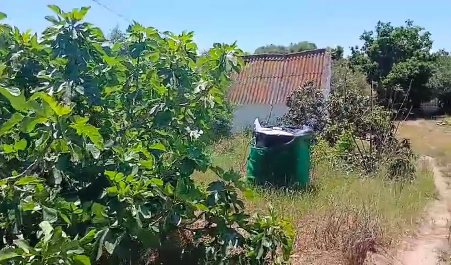 Casa o xalet en venda en Vejer de la Frontera