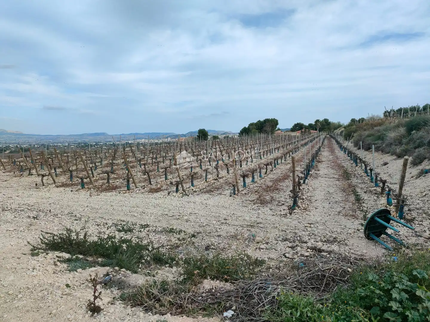 Terreno residenziale in vendita a Pedanías Oeste, imagen 11