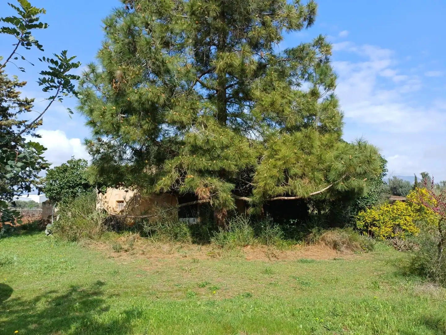 Maison rustique à vendre à Santa María del Camí, imagen 6