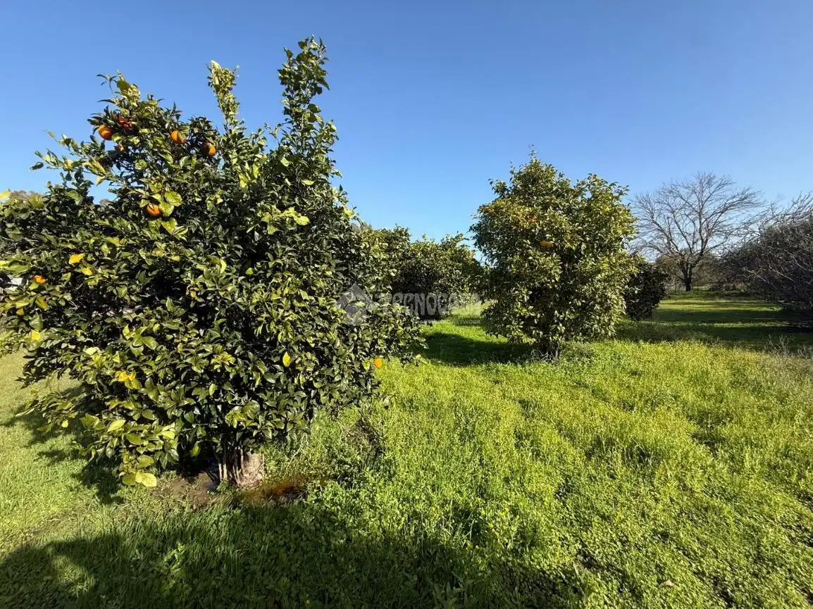 Terreno en venta en Arahal
