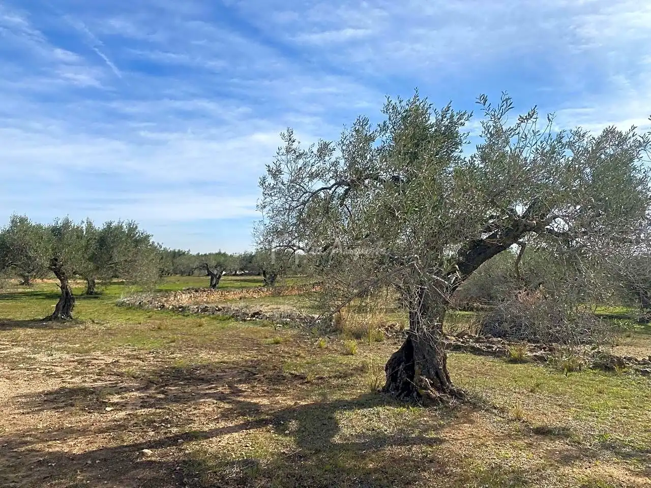 Terreno rustico in vendita a Planas, imagen 9