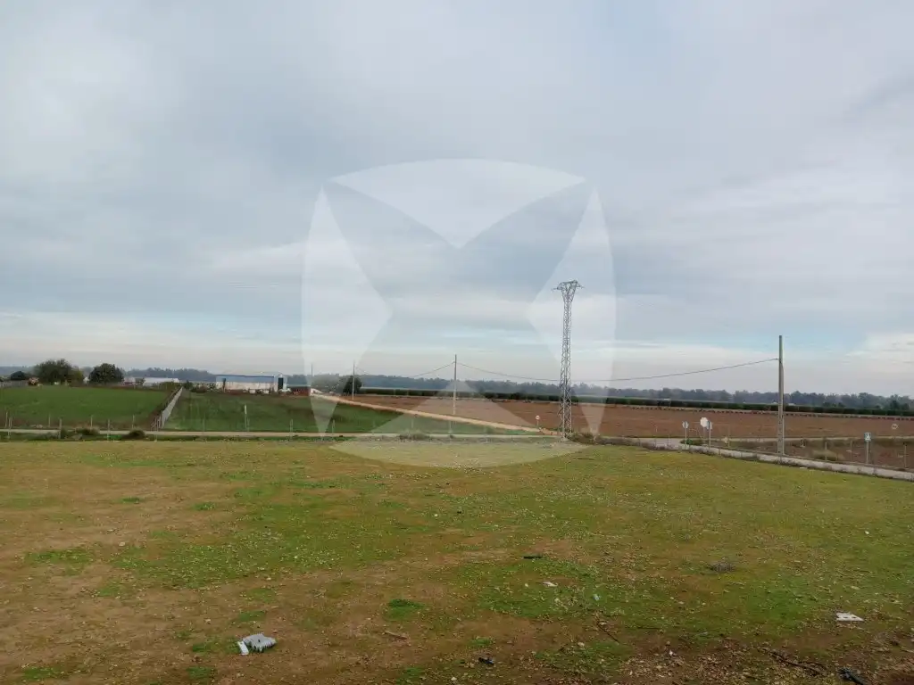 Business premises for sale in Calle Jesús Delgado Valhondo, imagen 4