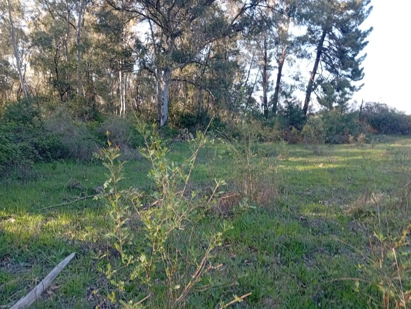 Terreni e lotti in vendita a Villanueva de la Vera, imagen 140