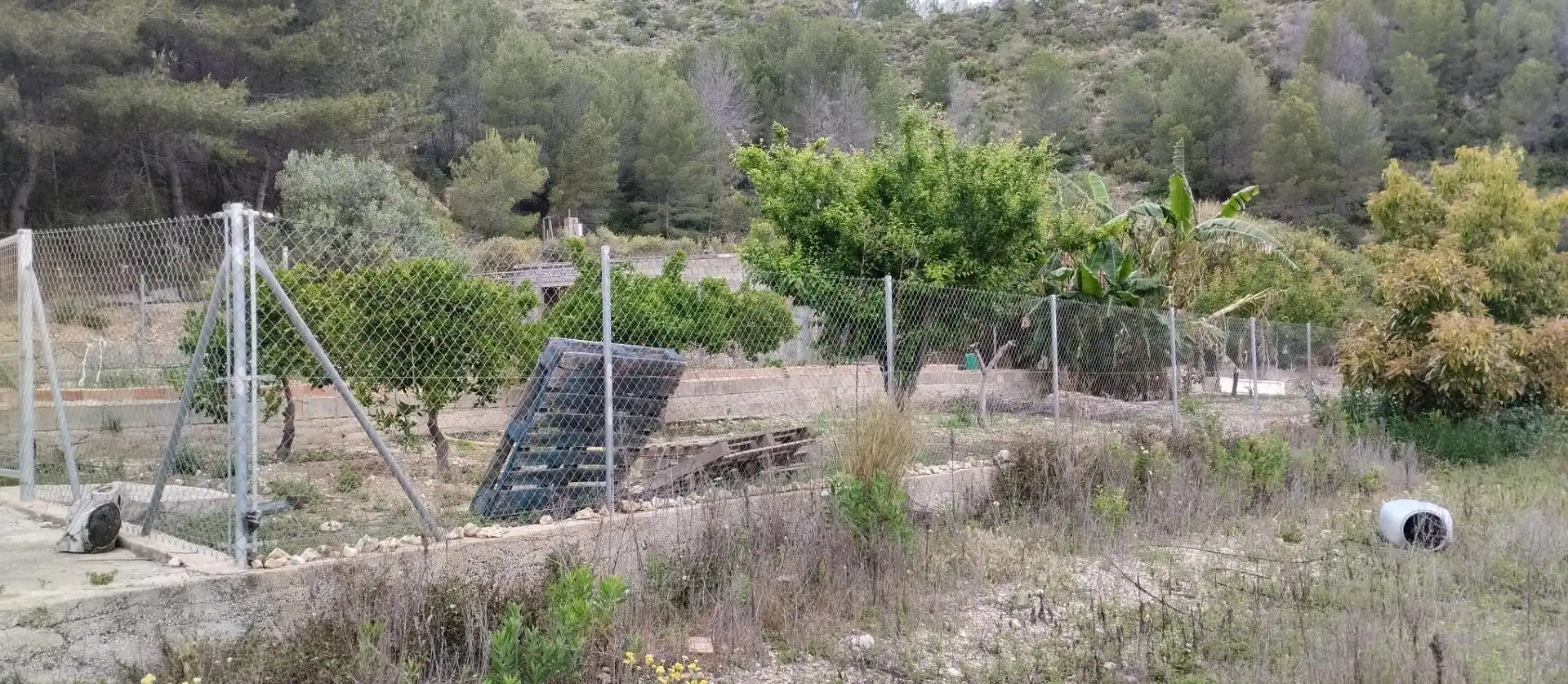Rural land for sale in L'Atzúbia, imagen 9