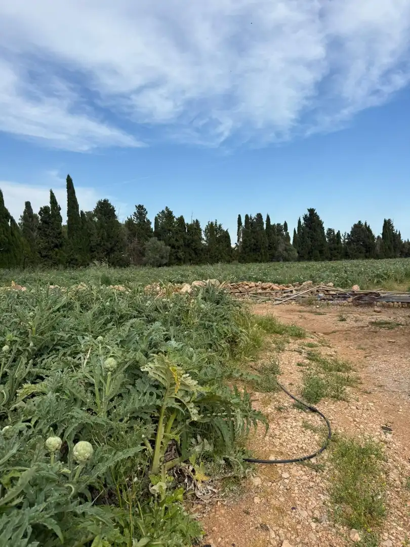 Maison rustique à vendre à Camarles, imagen 11