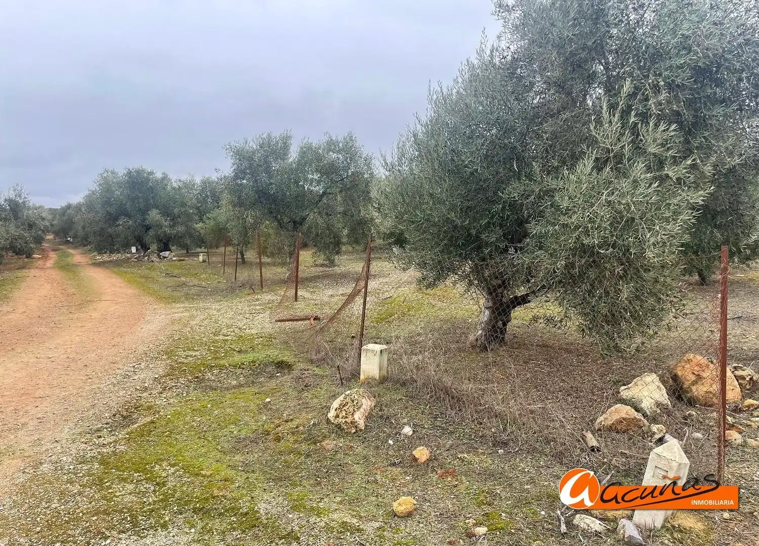 Terrenos y solares en venta en Alameda, imagen 6