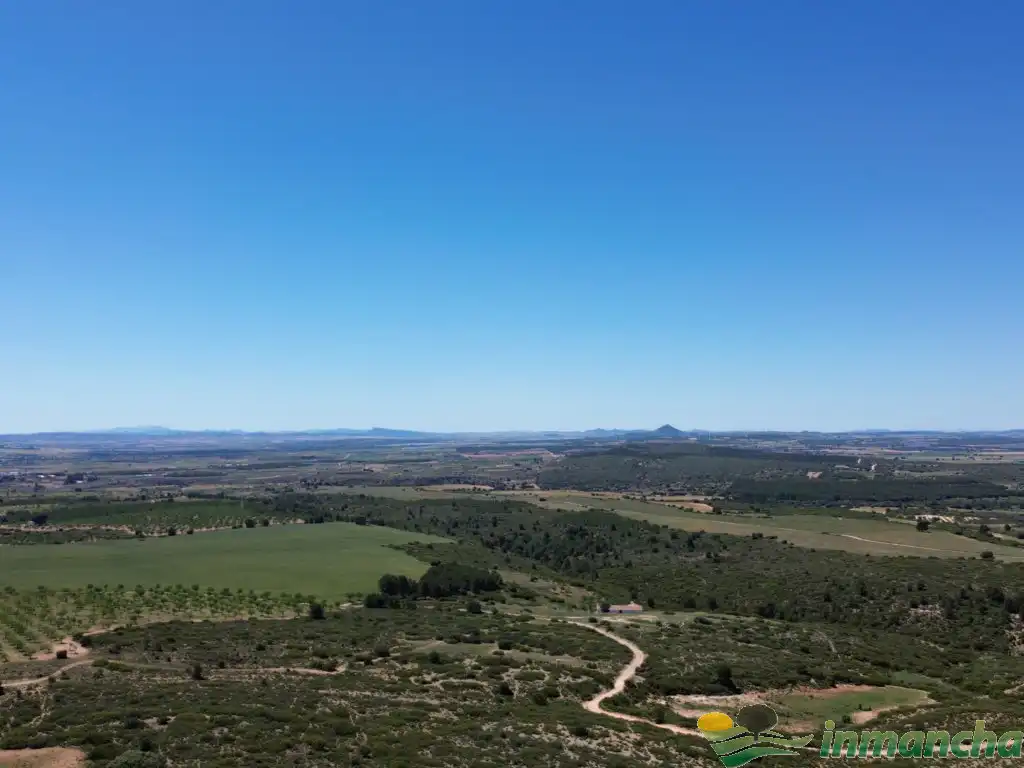 Terreni e lotti in vendita a Almansa, imagen 3