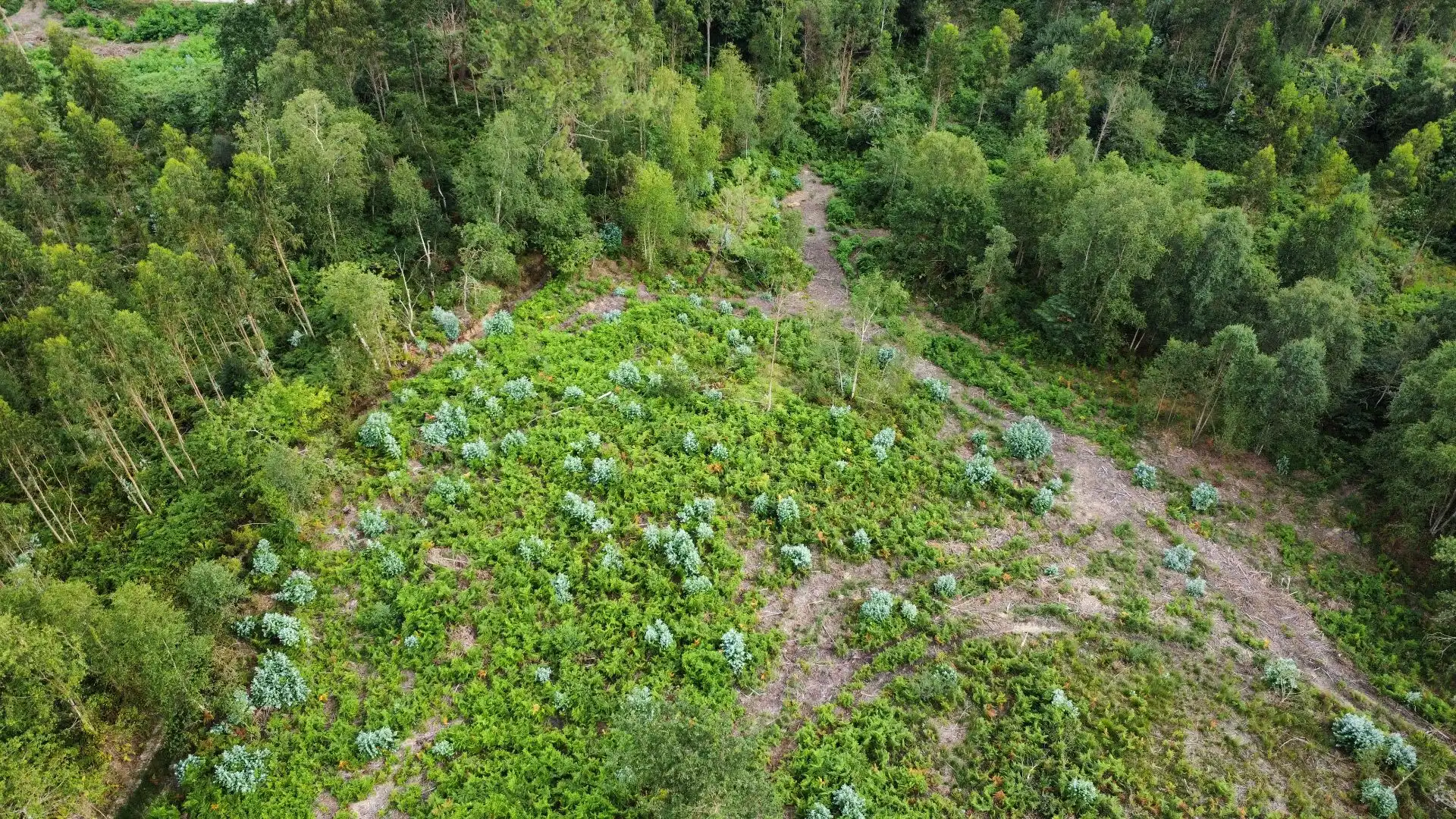 Terreno rustico in vendita a Pría - Nueva-Hontoria - Naves, imagen 11