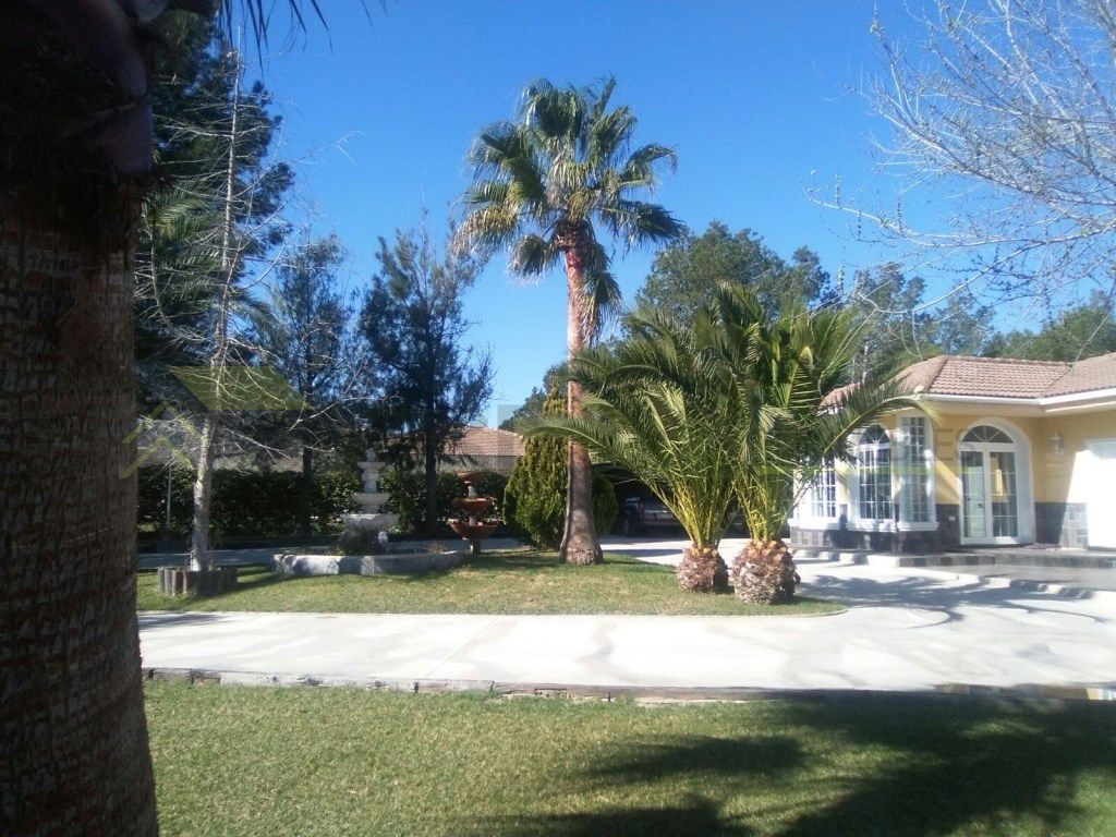 Jardí de Casa o xalet en venda en Elda amb Jardí privat i TV