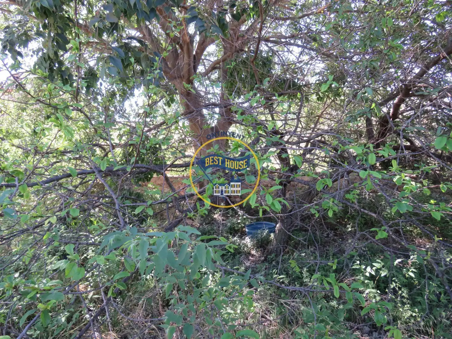 Lands and plots for sale in Montesa, imagen 13