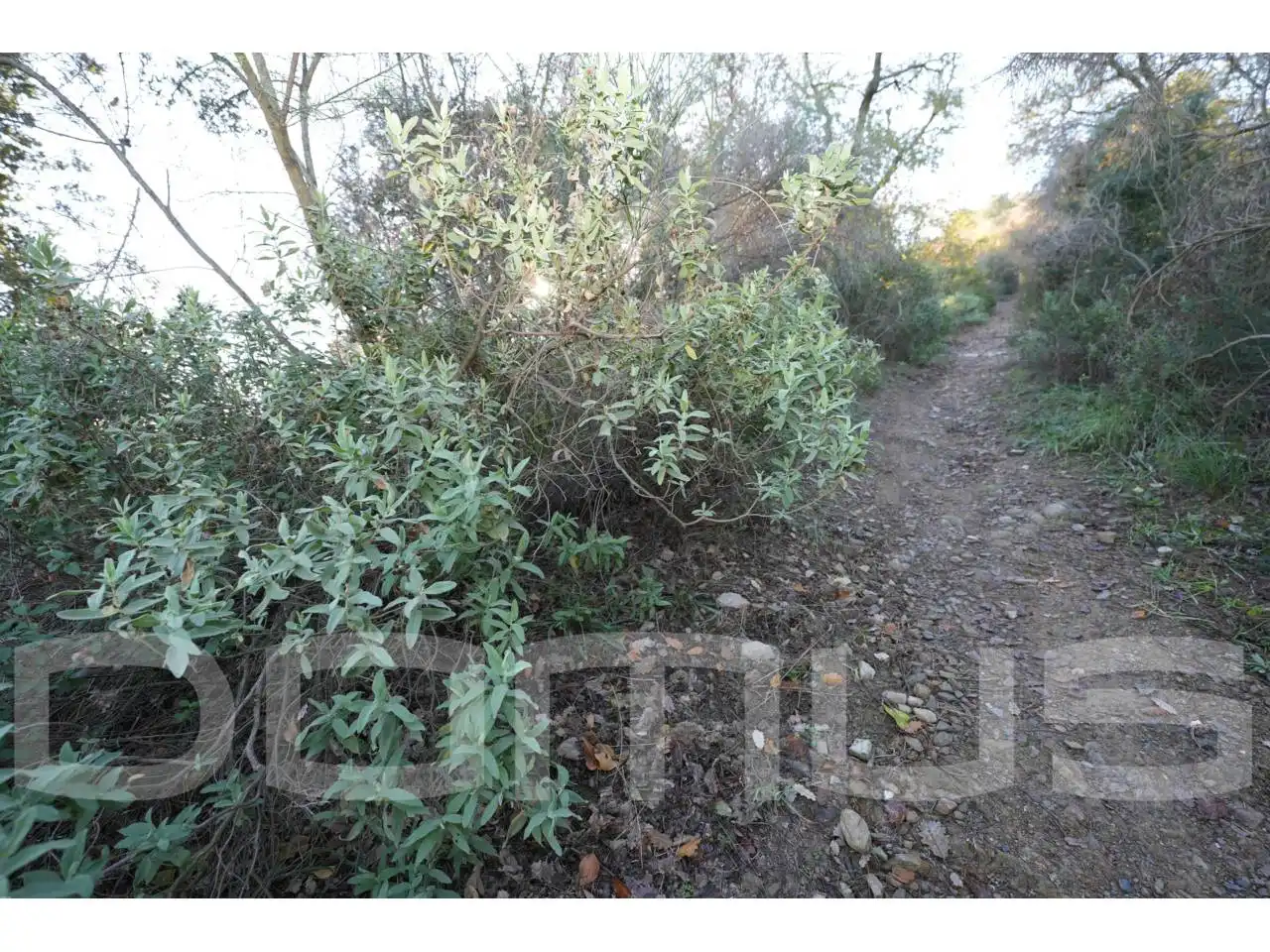 Terreno rústico en venta en Sant Vicenç Dels Horts, imagen 17
