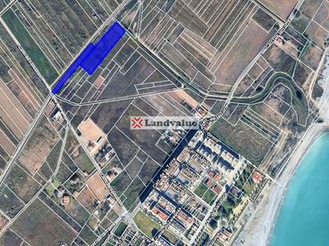 Terreno rustico in vendita a PARAJE ESTAÑOL POL. 11 PARC. 435