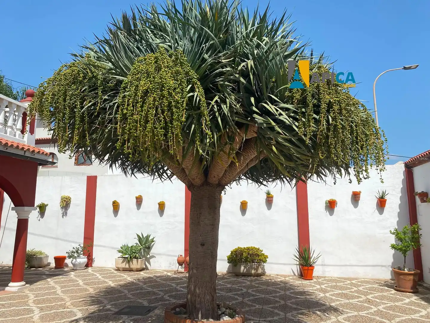 Haus zum Verkauf in Mondejar - Junquillos, imagen 30