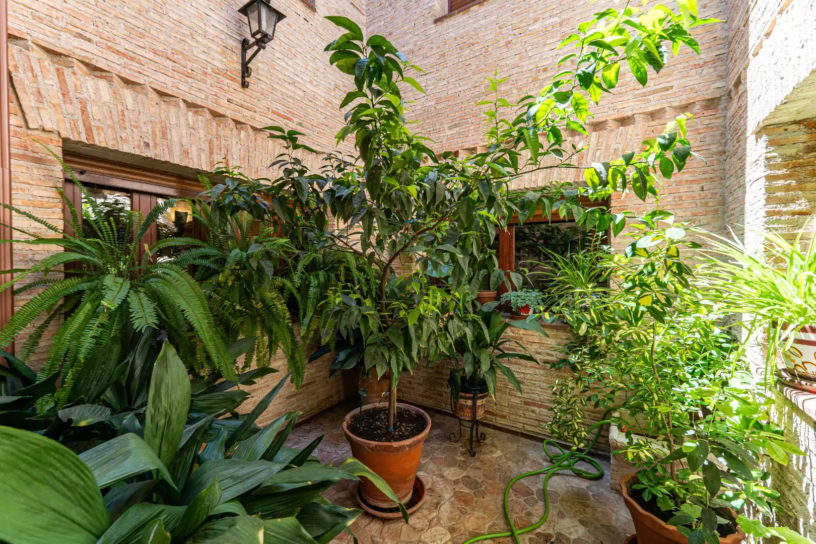 Jardí de Casa o xalet en venda en Méntrida amb Aire condicionat, Calefacció i Jardí privat