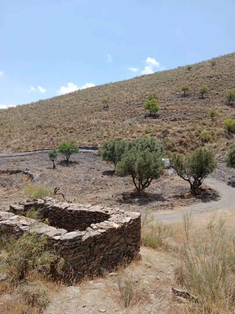 Rural land for sale in Calle Almeria