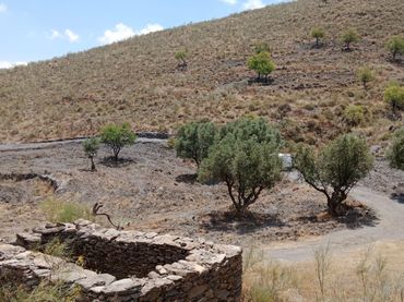 Terreno rustico in vendita a Calle Almeria
