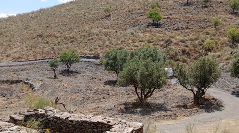 SE VENDE TERRENO DE 24.000 M2