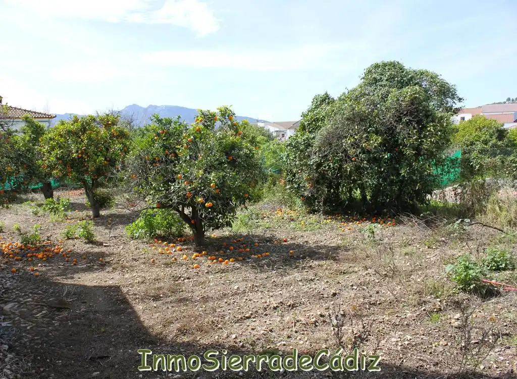 Residencial en venda a Andalucia, Torre Alháquime