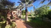 Garden of House or chalet for sale in Badajoz Capital  with Air Conditioner