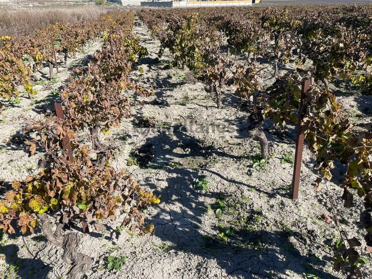 Rustikales Grundstück zum Verkauf in Centro - Calzada - Cabo Noval, imagen 2