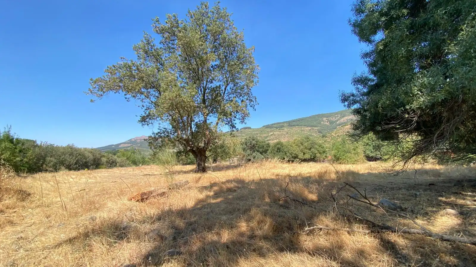 Rural land for sale in Calle el Roble 4, imagen 5