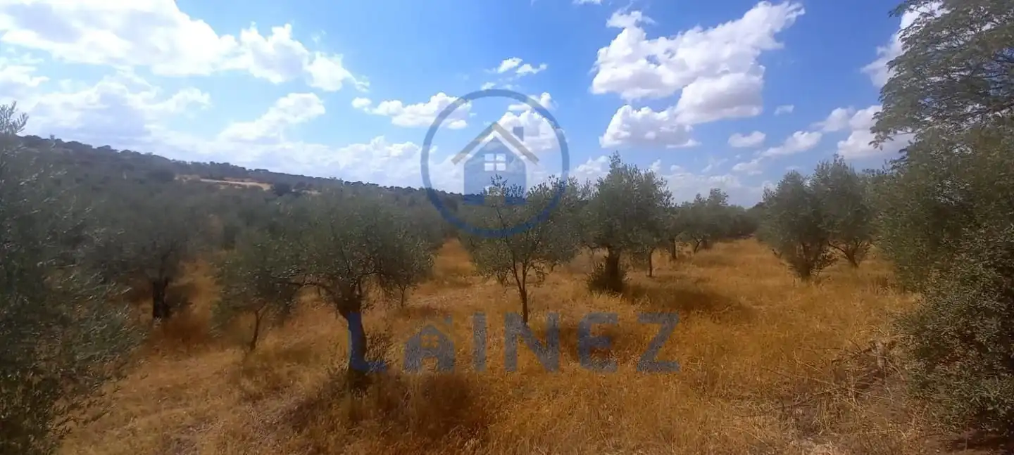 Wohnbaugrundstück zum Verkauf in La Granjuela, imagen 15