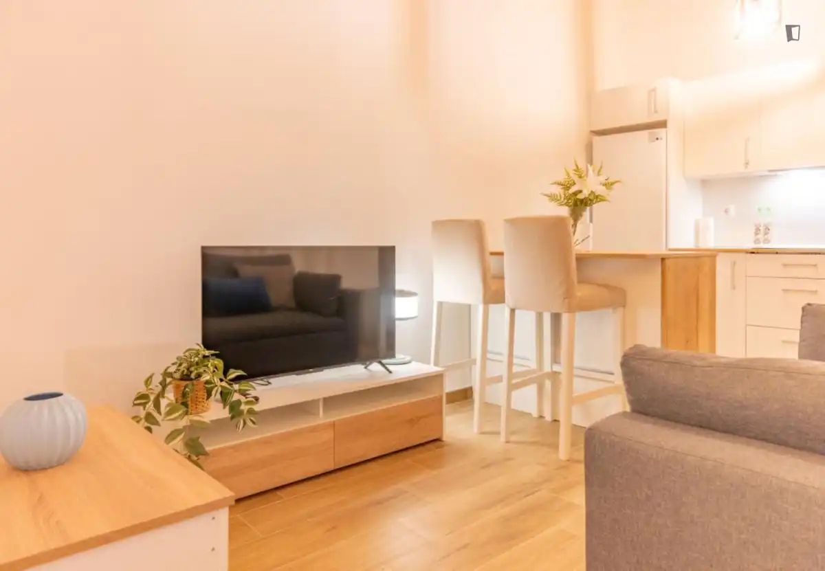 Sala d'estar de Apartament de lloguer en Madrid amb Aire condicionat, Moblat i Rentadora