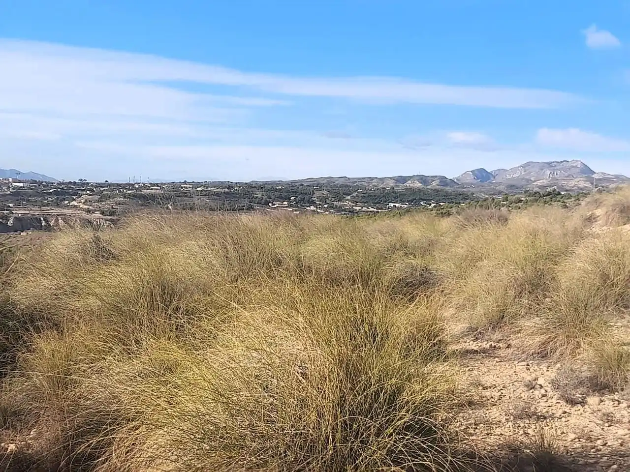 Terreno en venta en Elche / Elx