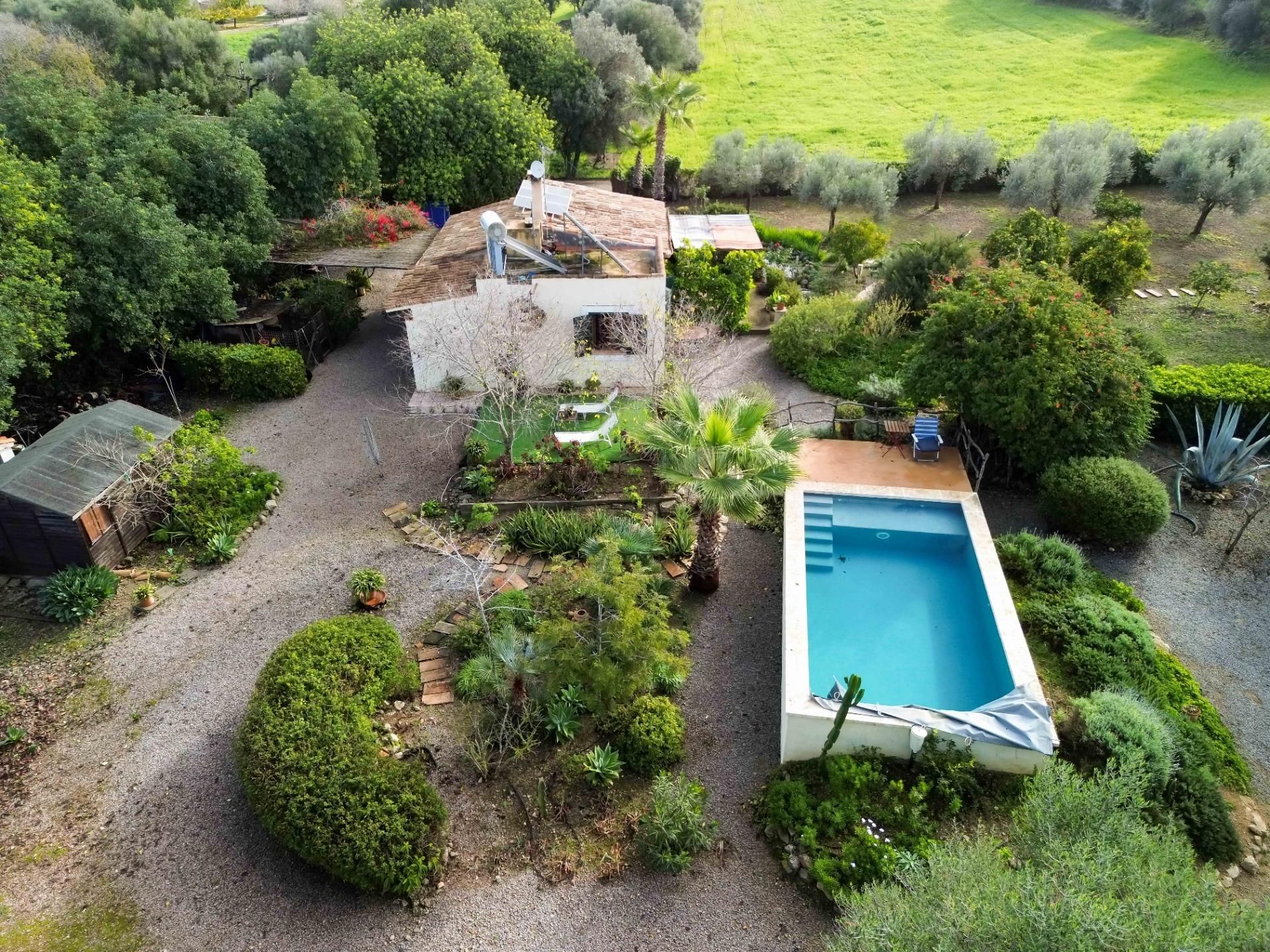 Jardí de Casa o xalet en venda en Muro amb Piscina i Alarma