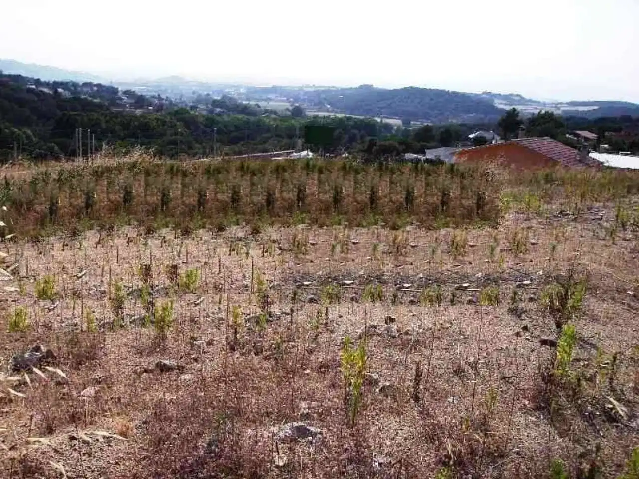 Terreno residencial en venta en Sàlvia 7, imagen 5