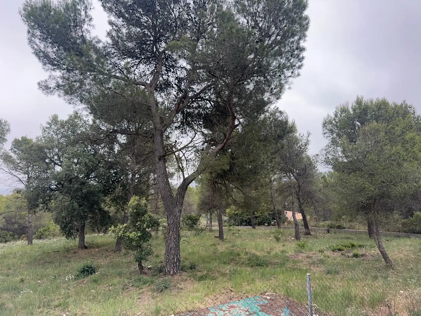 Terreno residenziale in vendita a Avinguda del Bosc, imagen 7
