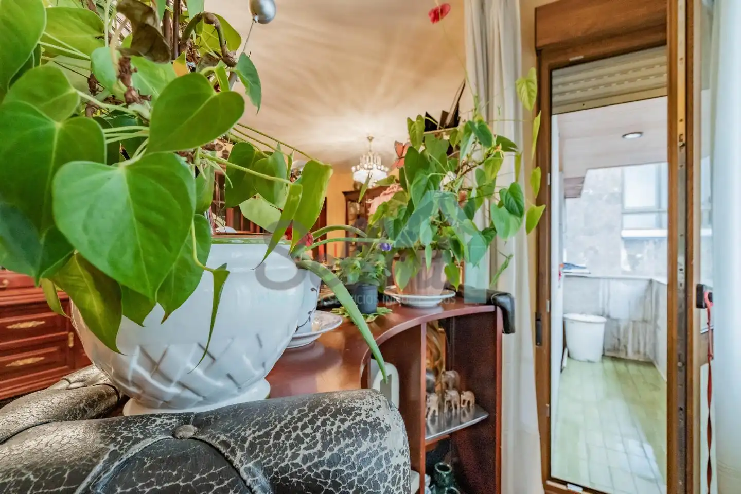 Flat with lift for sale in Charles Darwin, imagen 5