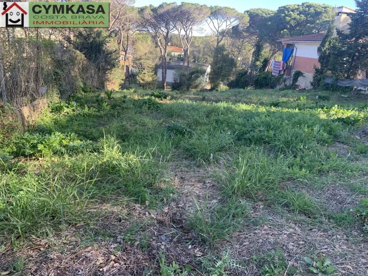 Terreno rustico in vendita a Residencial Park, imagen 8