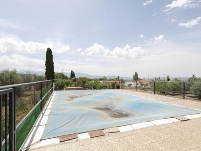Piscina de Finca rústica en venda en Albolote amb Calefacció, Jardí privat i Terrassa