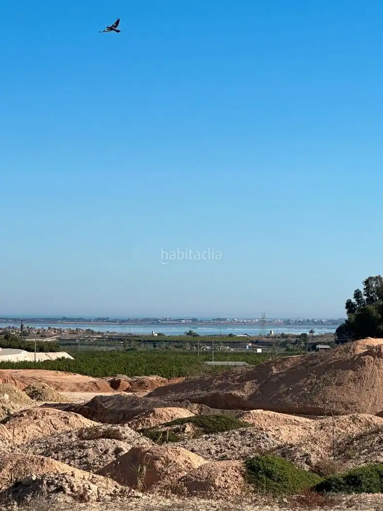 Terrain rustique à vendre à Camino de Catral 31, imagen 18