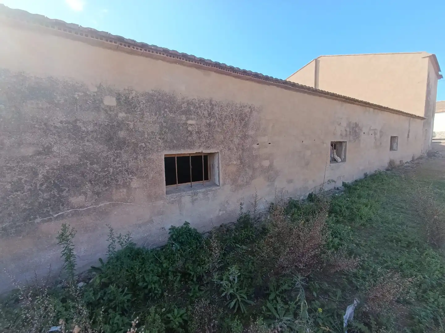 Vista exterior de Finca rústica en venda en Murcia amb Jardí privat i Terrassa
