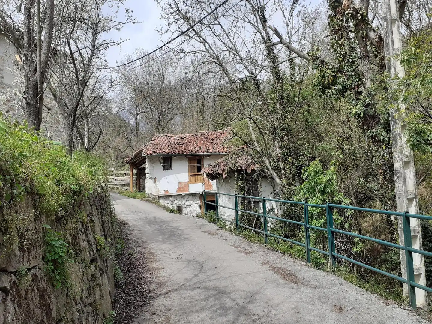 Exterior view of Houses for sale in Camaleño
