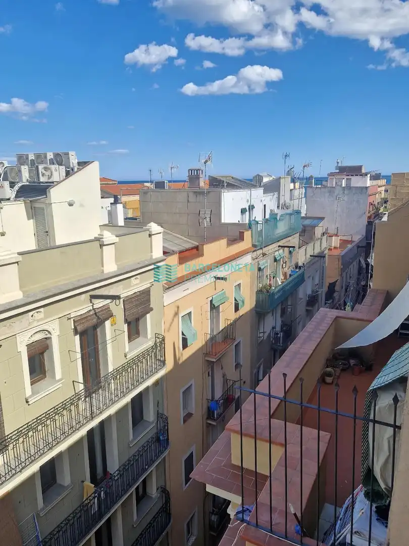 Dachboden zum Verkauf in gine i partagas, La Barceloneta