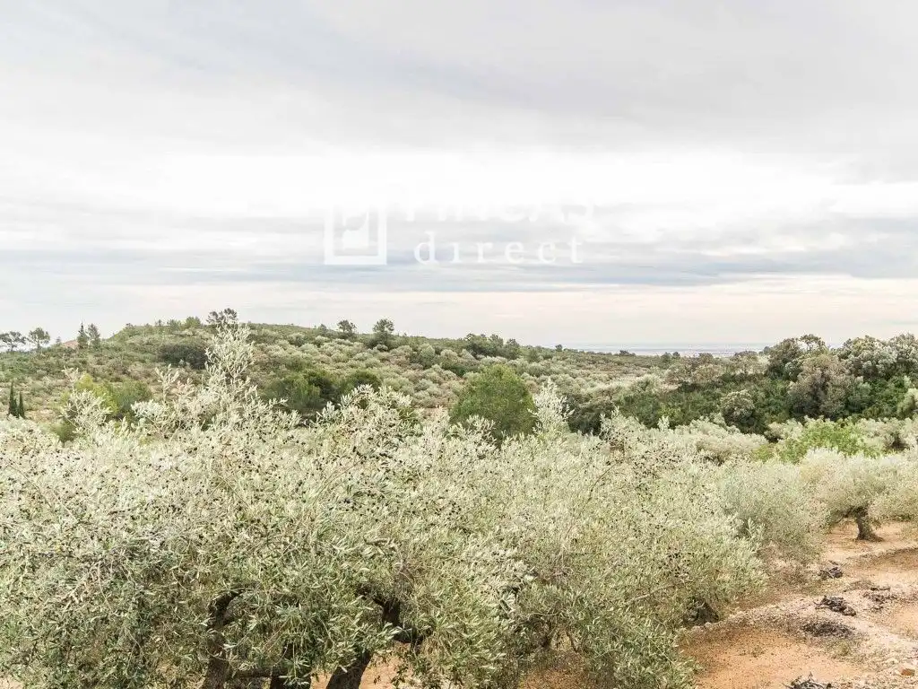 Finca rústica en venda en Tortosa amb Moblat