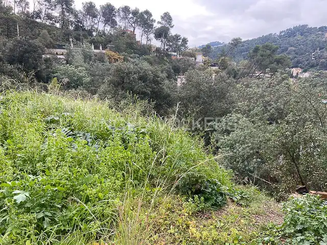 Terreno residencial en venta en La Floresta, imagen 14