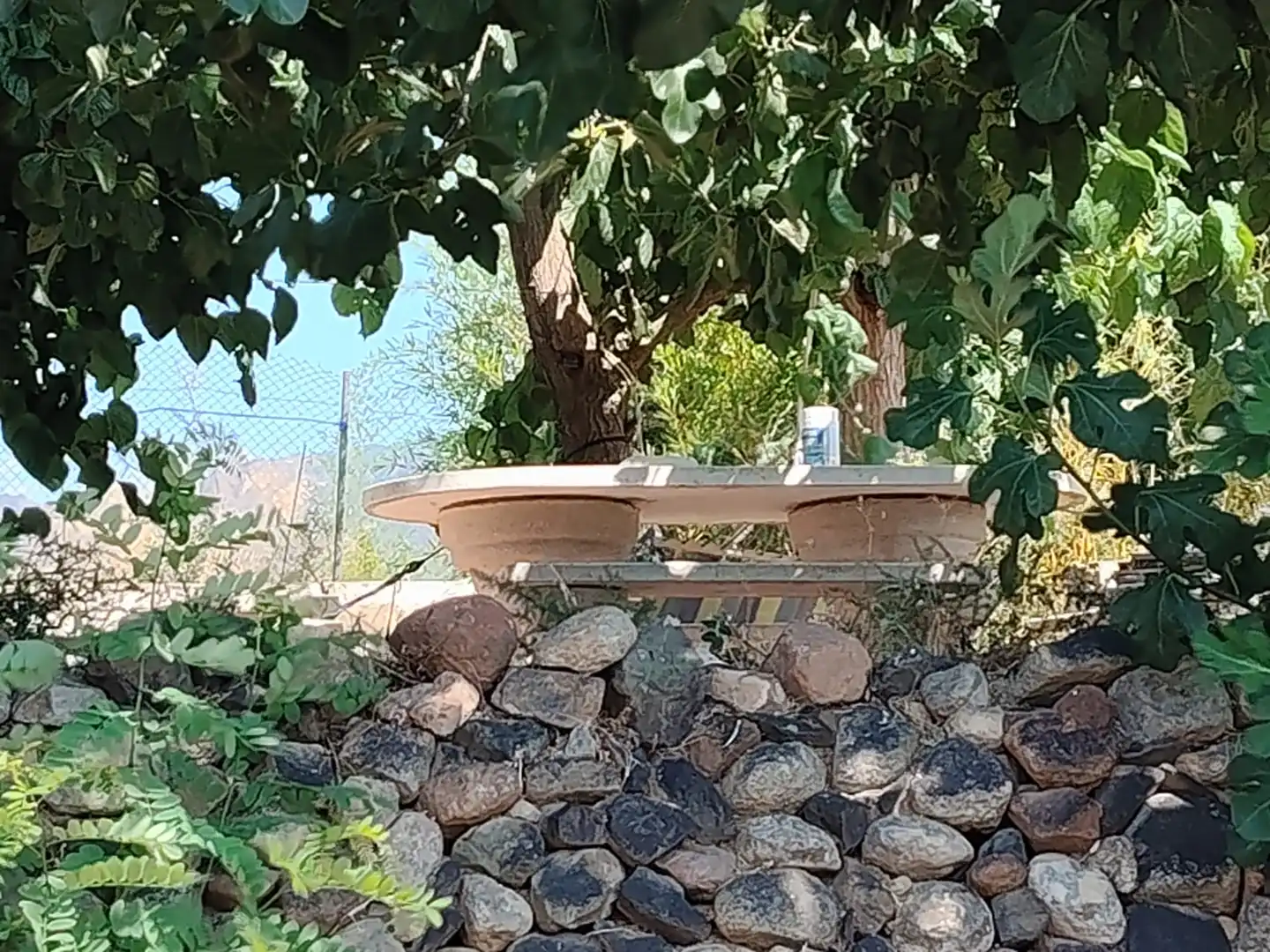 Garden of Land for sale in Maspujols