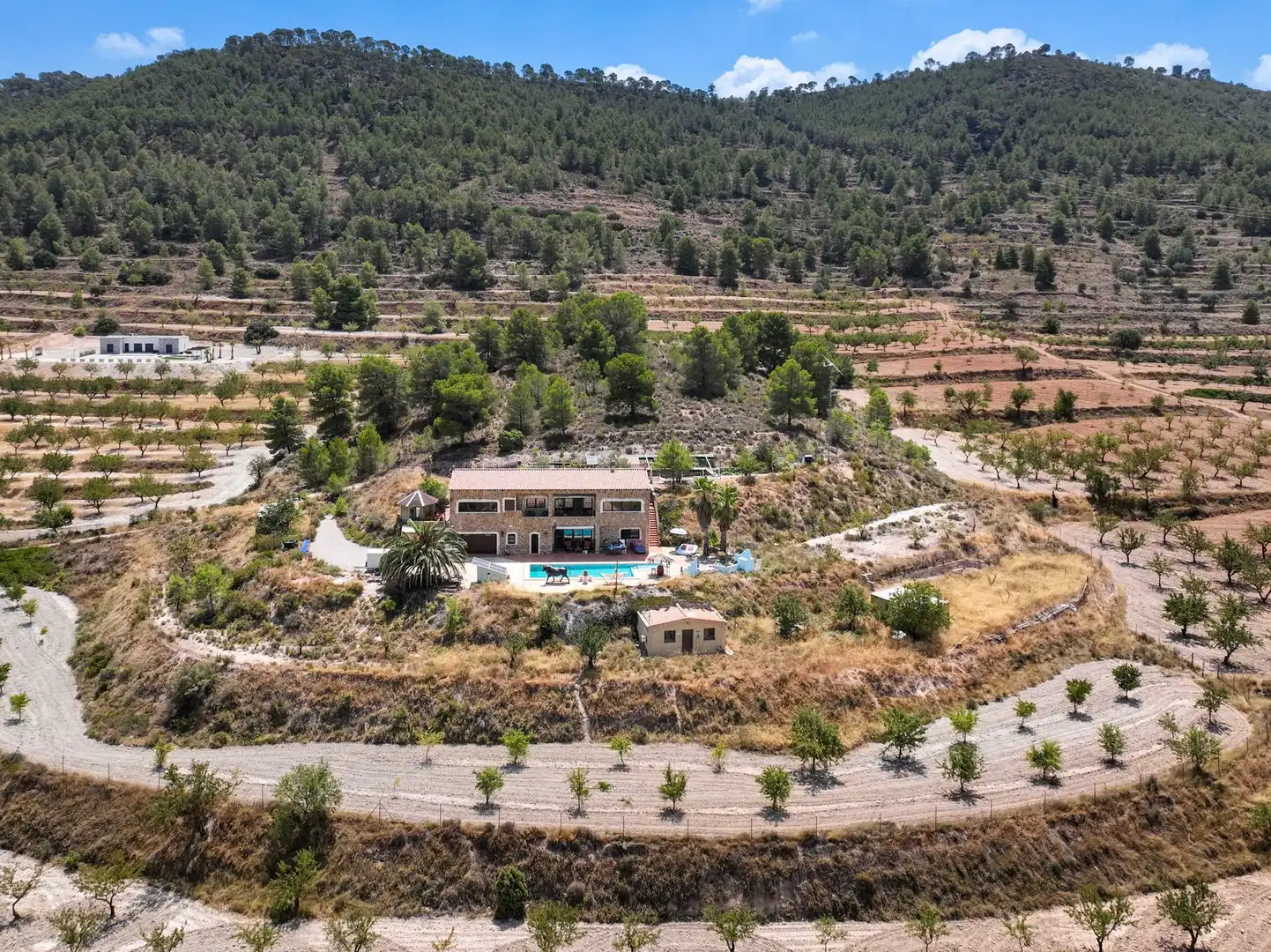 Casa rústica en venda a El Pinós / Pinoso, imagen 6