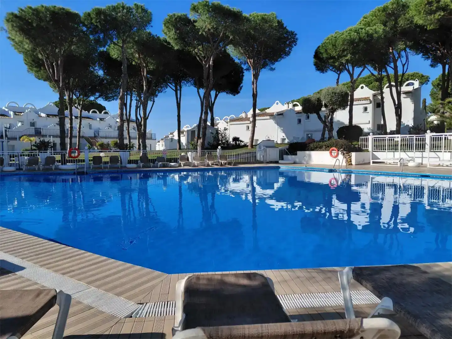 Swimming pool of Flat for rent in Elviria - Cabopino